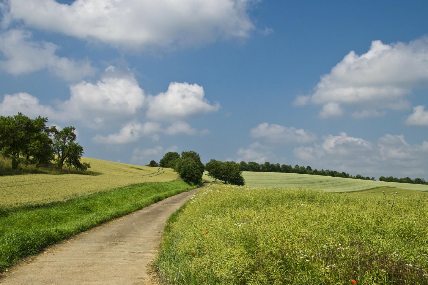 Wallfahrt